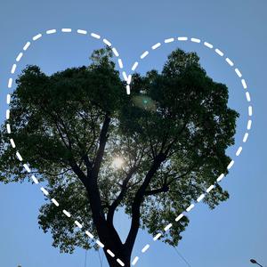 第一精品福利导福航
