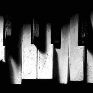 第一精品福利导福航
