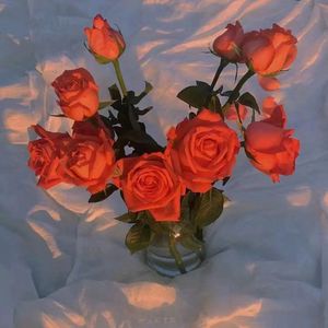 第一精品福利导福航
