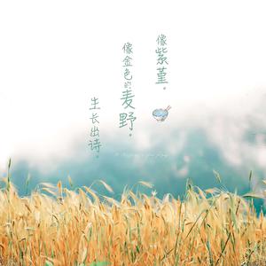 第一精品福利导福航
